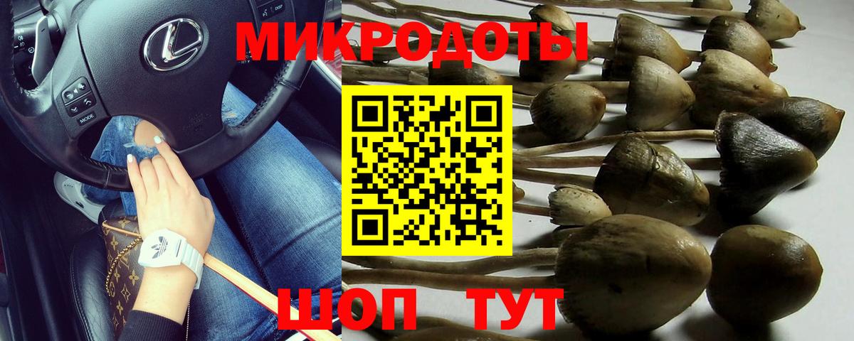 Псилоцибиновые грибы Psilocybe  купить наркотики сайты  Гурьевск  Вход с VPN 